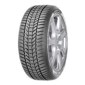 SAVA 195/55R15 ESKIMO HP2 85H