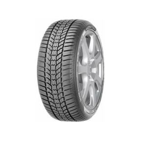 SAVA 225/45R17 ESKIMO HP2 91H